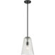 Saben 1 Light 9.25 inch Matte Black Pendant Ceiling Light